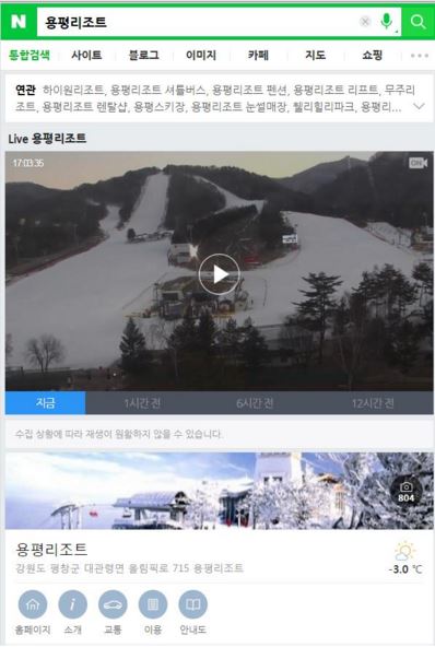 '용평리조트' 모바일 검색 화면